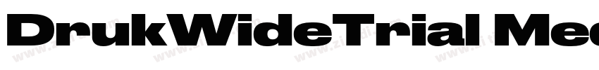 DrukWideTrial Medium字体转换